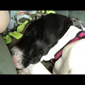 Meet your Posher, Brittany